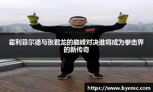霍利菲尔德与张君龙的巅峰对决谁将成为拳击界的新传奇