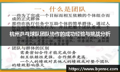 杭州乒乓球队团队协作的成功经验与挑战分析